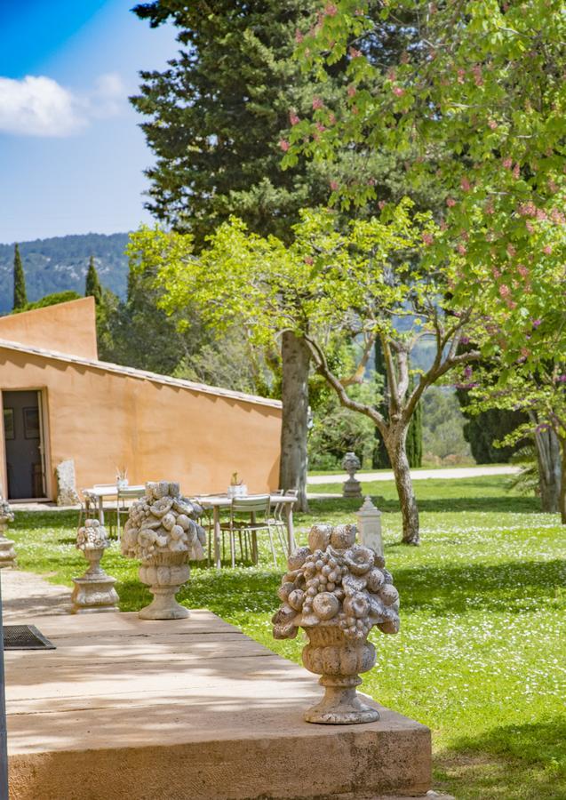 B&B Chateau Ciceron Ribaute エクステリア 写真