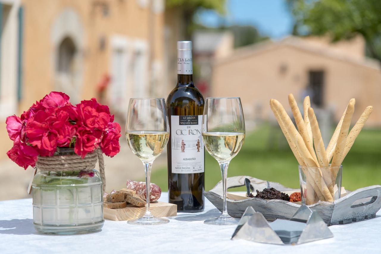 B&B Chateau Ciceron Ribaute エクステリア 写真